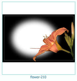 flower Photo frame 210