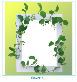 flower Photo frame 46